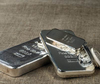 Najbolj priljubljene srebrne palice: katere izbrati in zakaj